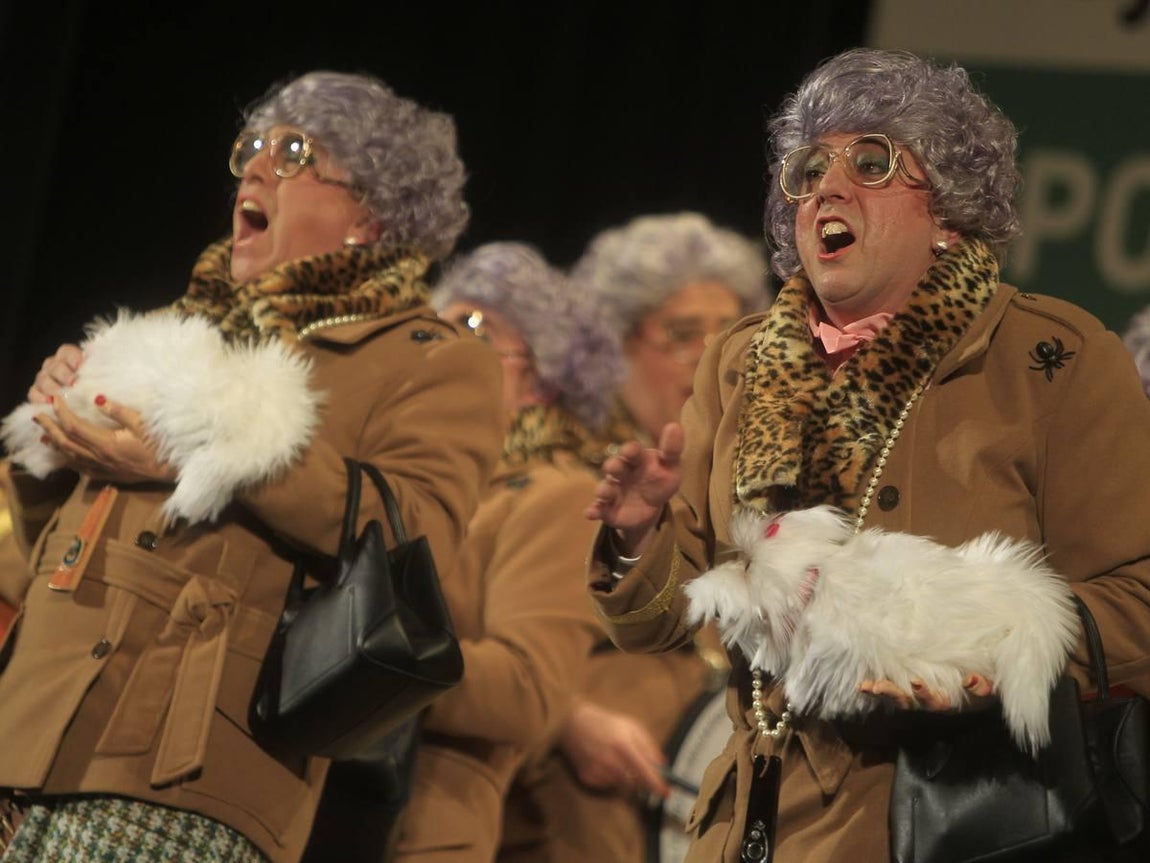 Fotos: Chirigota Mi suegra como ya dije