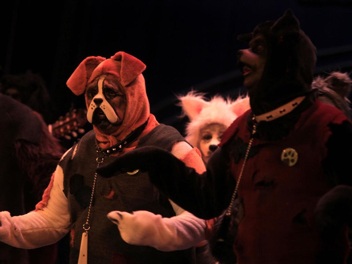 Fotos: Comparsa Los incondicionales. COAC 2017