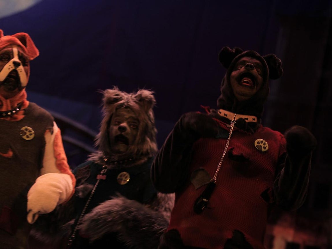 Fotos: Comparsa Los incondicionales. COAC 2017