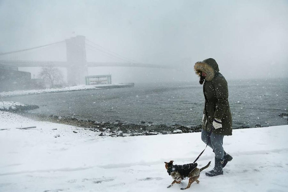 Vista del puente de Brooklyn desde la playa de los alrededores. AFP
