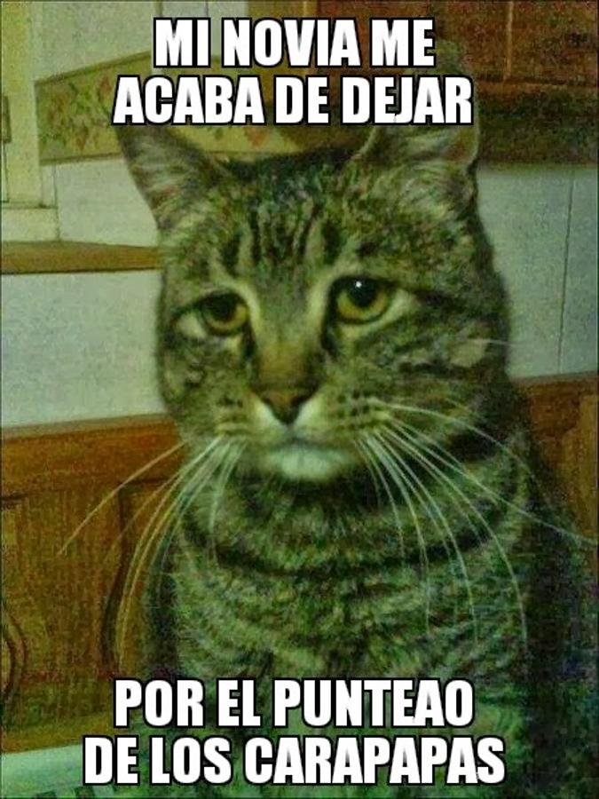 COAC 2.0: Los memes del carnaval