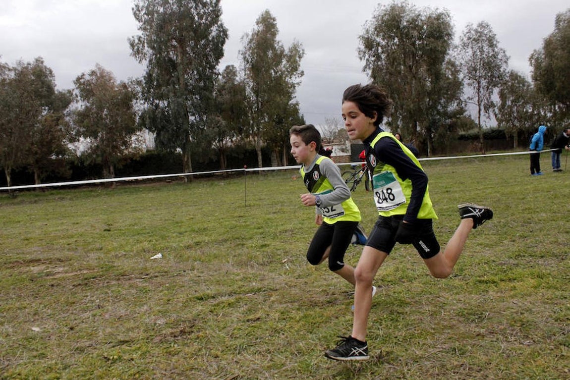 Unos 700 atletas participan en el Cross de Sonseca