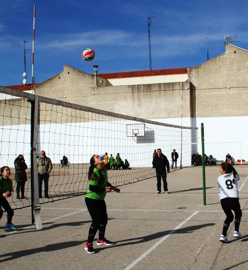 Vóley: Raminundo Lulio vs Santa Ana y San Rafael