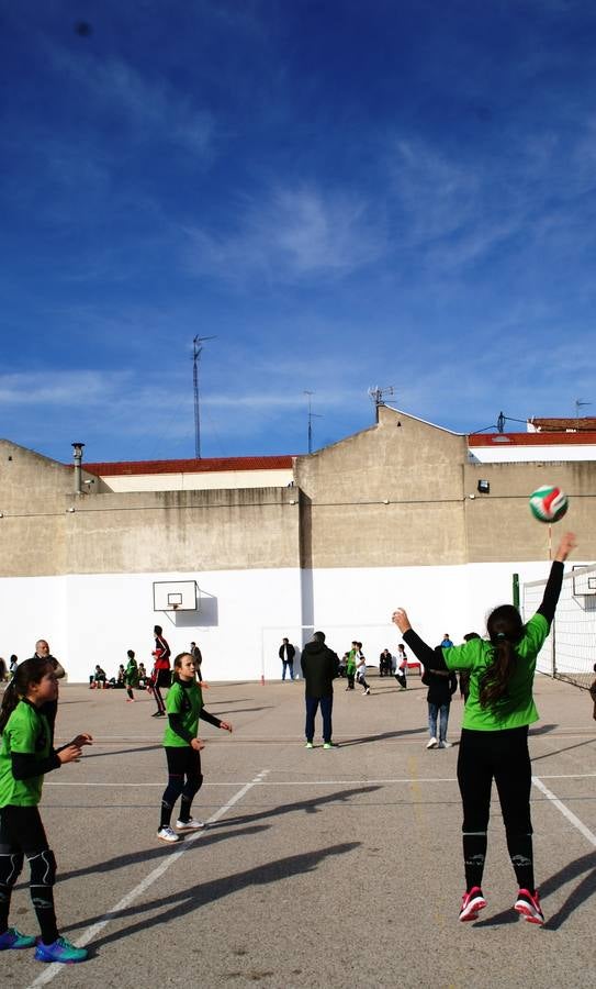 Vóley: Raminundo Lulio vs Santa Ana y San Rafael