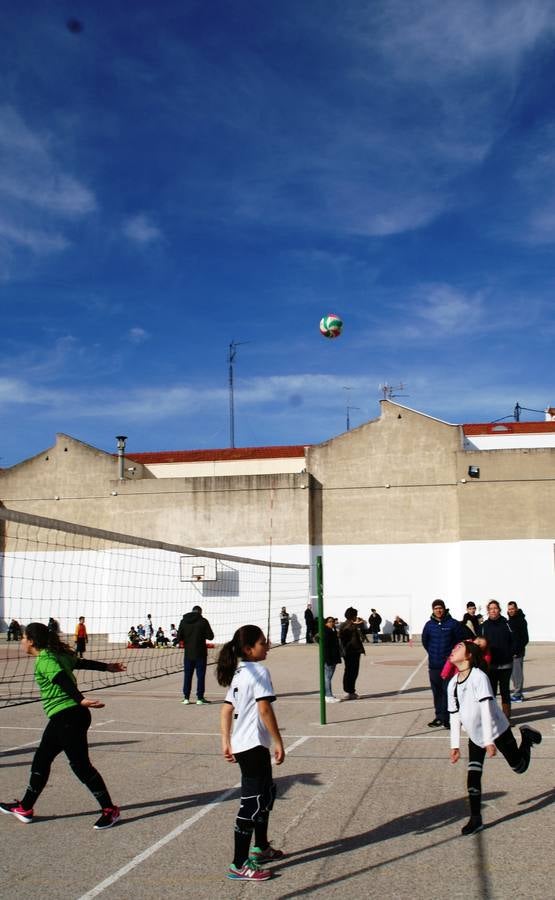 Vóley: Raminundo Lulio vs Santa Ana y San Rafael