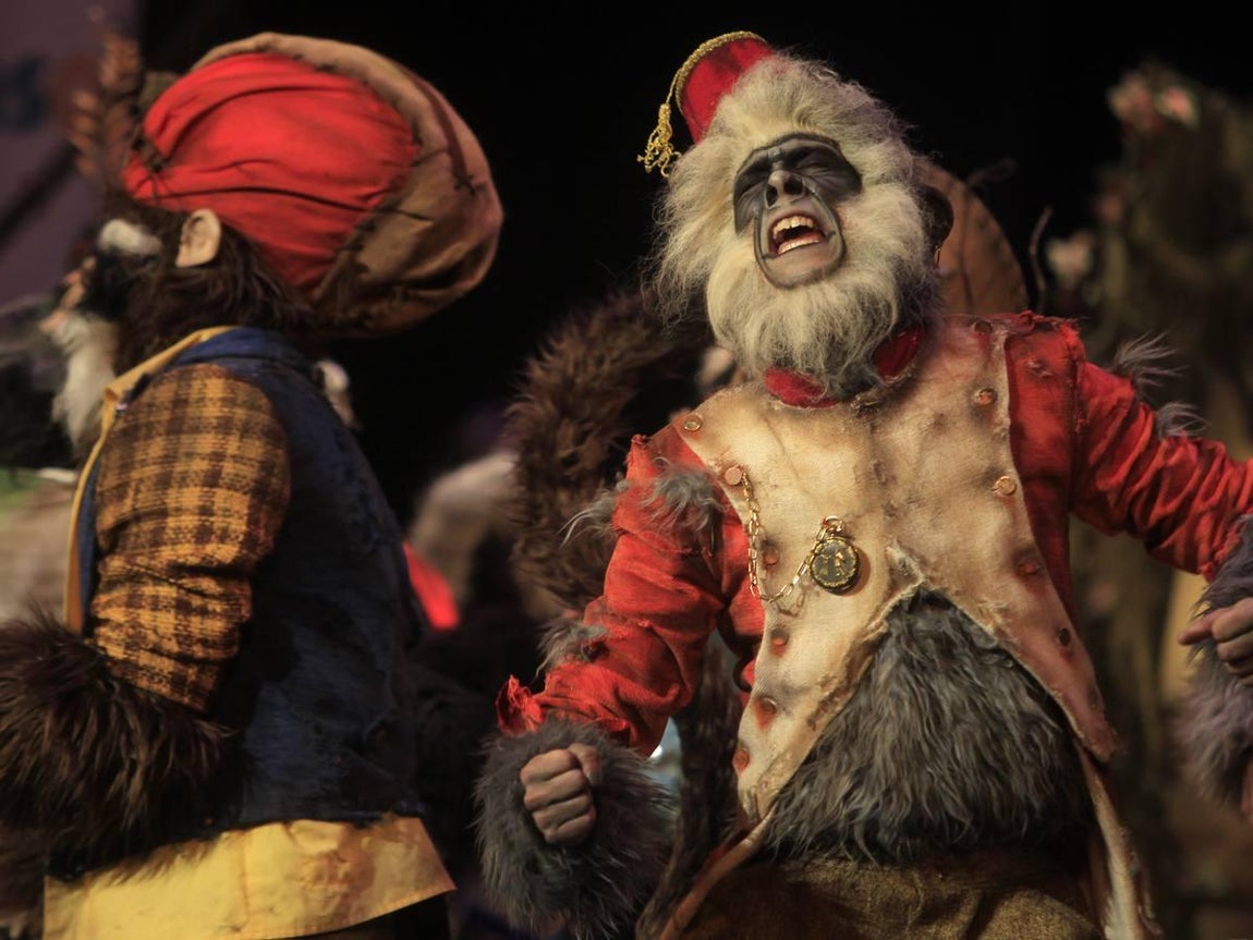 Fotos: Comparsa Los irracionales