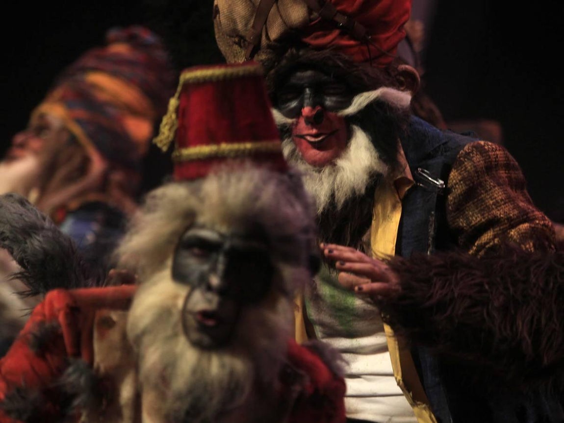 Fotos: Comparsa Los irracionales