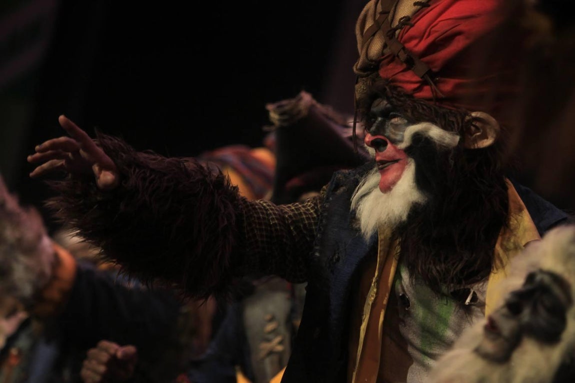 Fotos: Comparsa Los irracionales