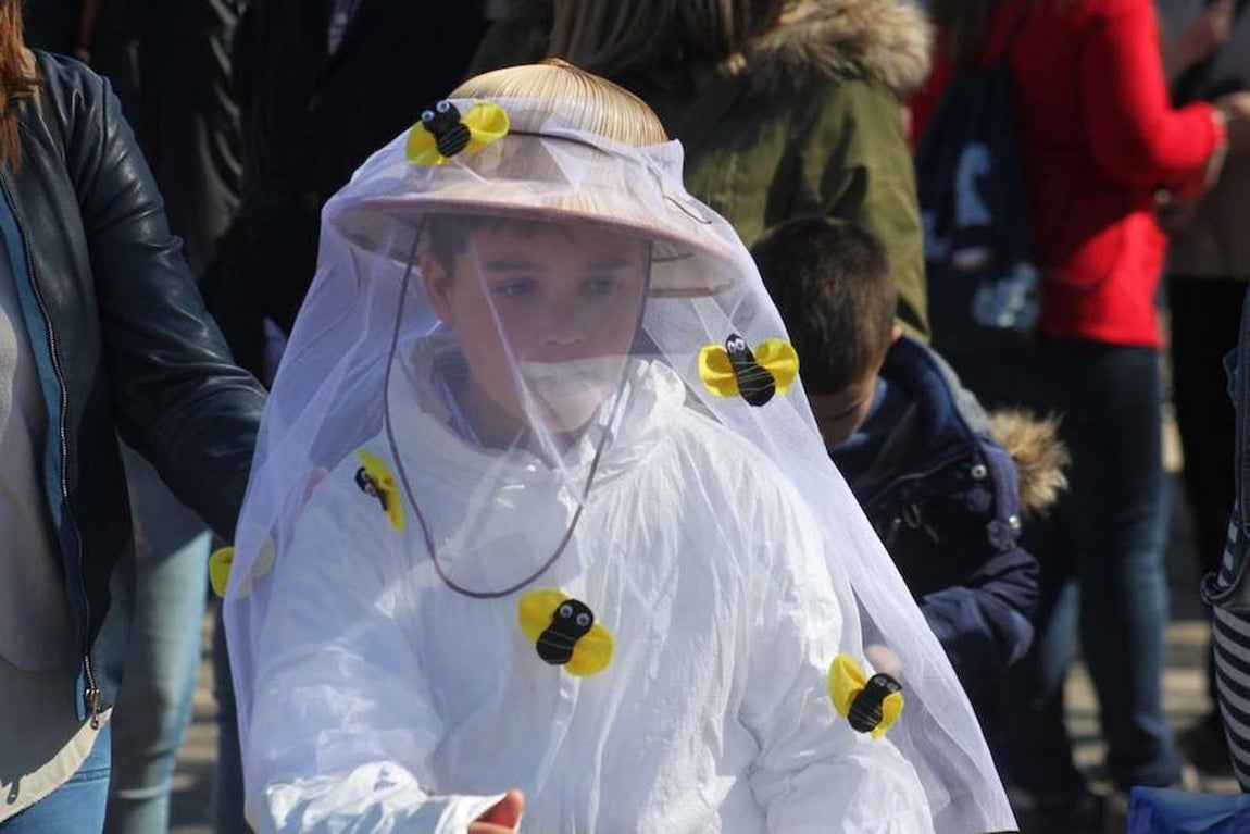 Galería de imágenes: Color y ritmo en el carnaval de Cabanillas