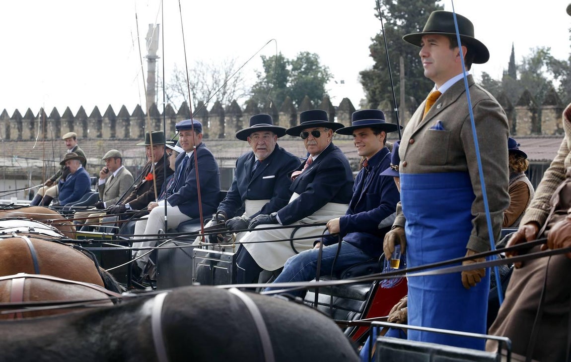 Las mejores imágenes del paseo a caballo por el Día de Andalucía en Córdoba