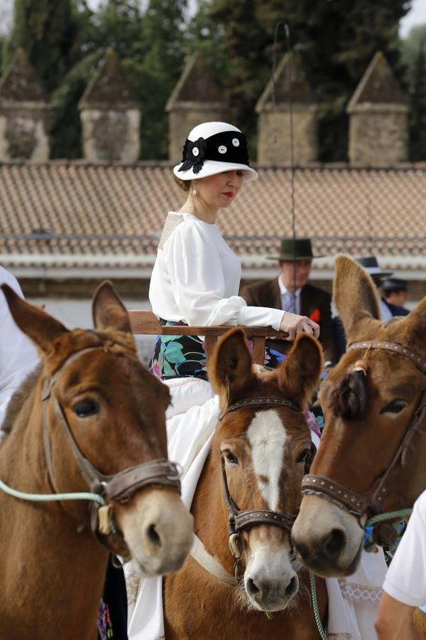 Las mejores imágenes del paseo a caballo por el Día de Andalucía en Córdoba