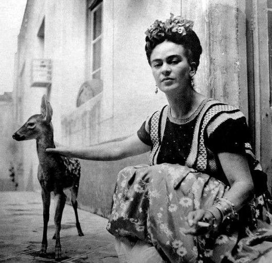 El ciervo de Frida Kahlo sirvió de inspiración para la obra «El venado herido de Frida», en el que la pintora se retrató a sí misma con el cuerpo de un ciervo herido por nueve flechas. 