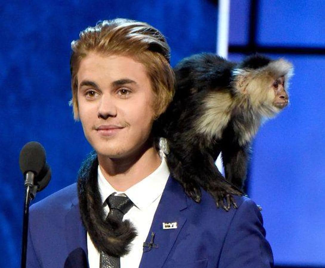 Al cantante Justin Bieber le encantan los animales. Ha tenido mascotas de todo tipo: perros, gatos, hámster... y hasta un mono