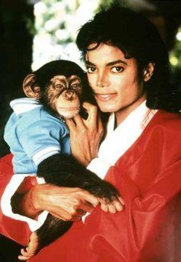 La mascota preferida del cantante era un chimpancé llamado Bubbles. Apareció en numerosas ocasiones en televisión, películas y videclips junto a su dueño, Michael Jackson
