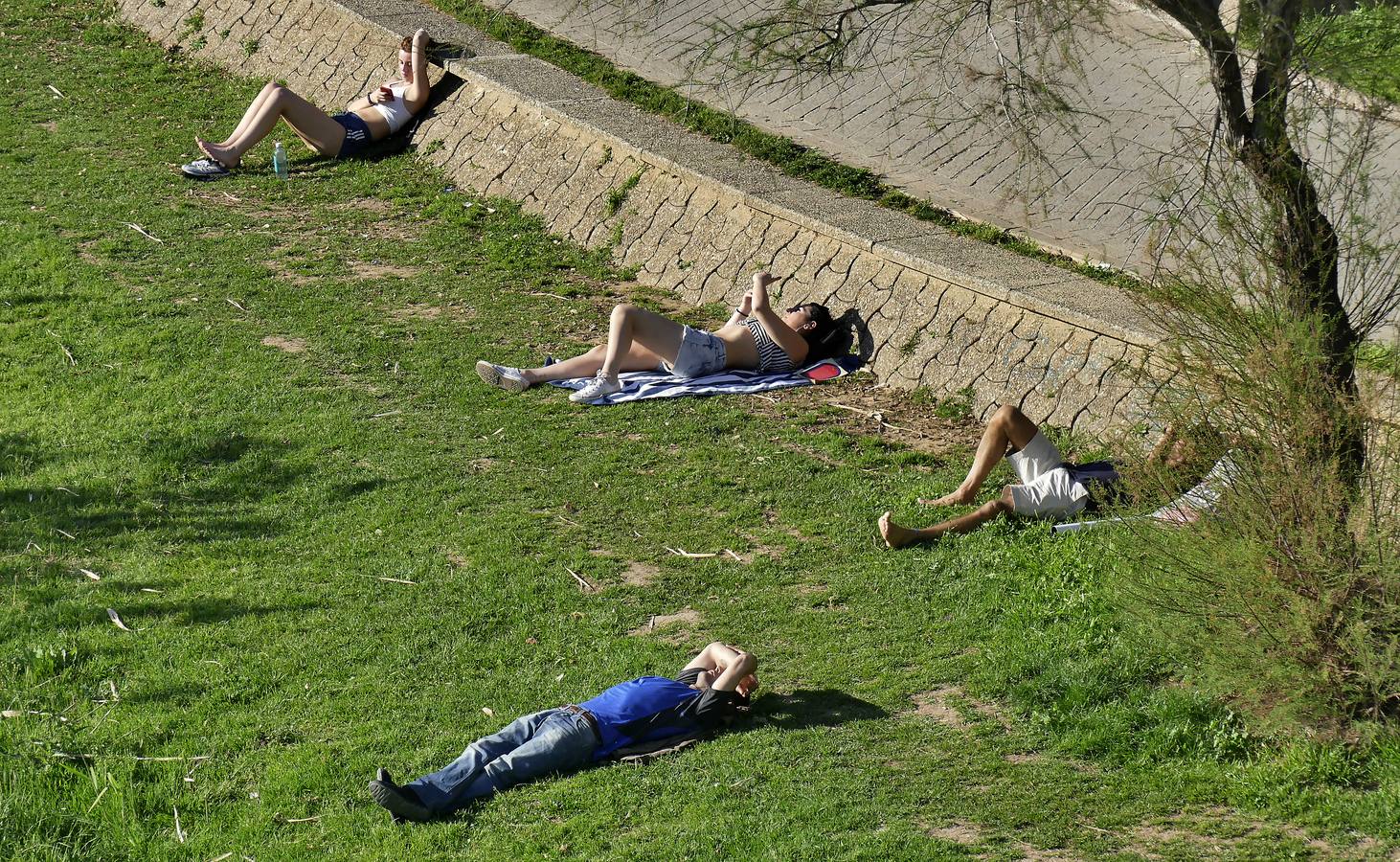 «Primaverano» en pleno mes de marzo