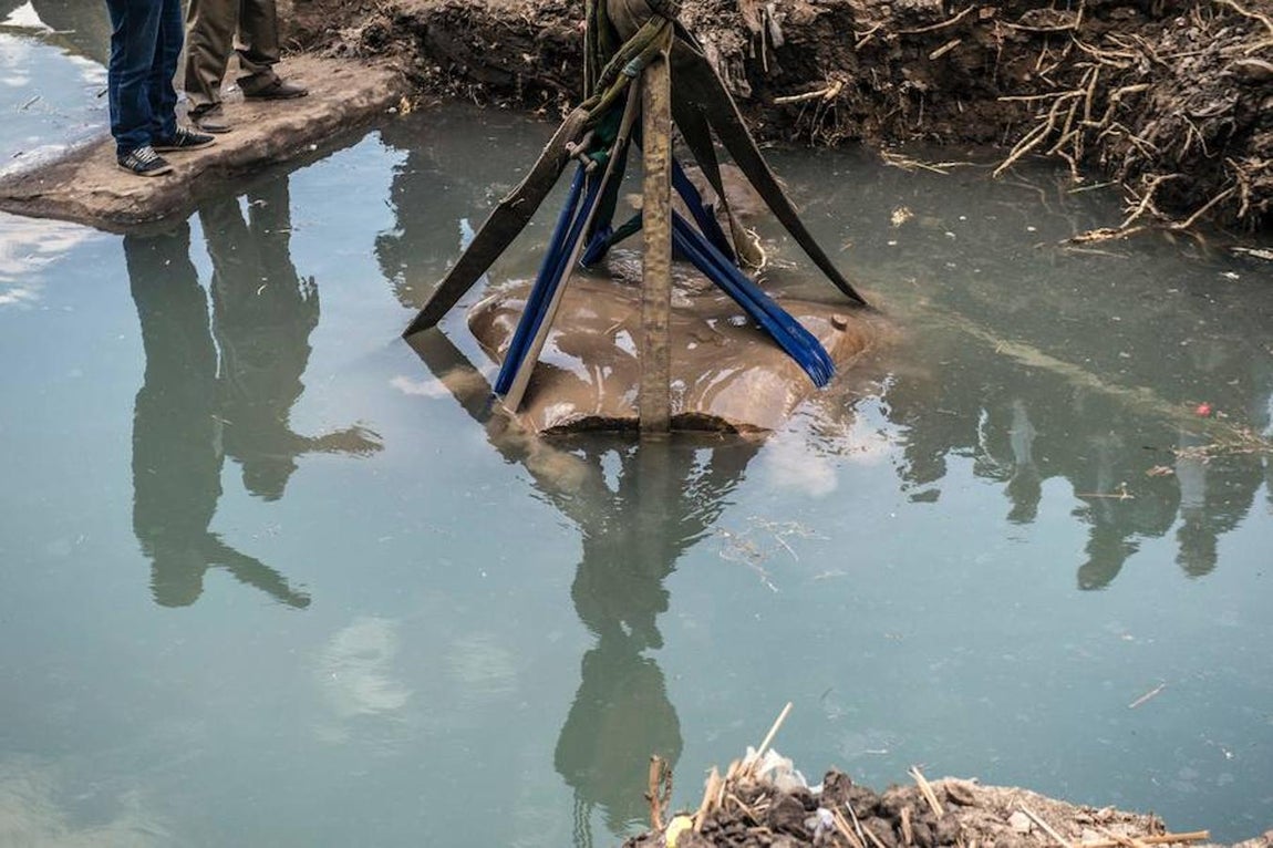 «Hallamos el busto de la estatua y la parte baja de la cabeza y ahora removimos la cabeza y hallamos la corona y la oreja derecha y un fragmento del ojo derecho», explicó el ministro de Antigüedades Khaled al-Anani.. 