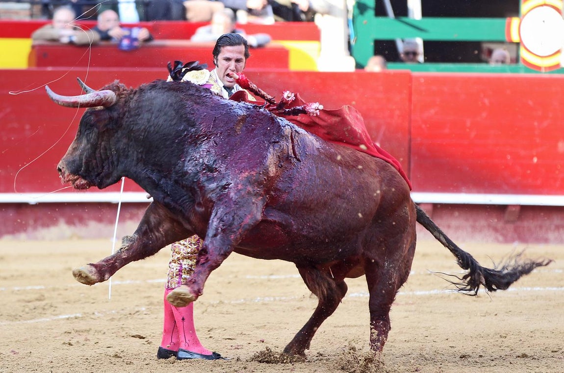 Feria de Fallas, David Mora. 