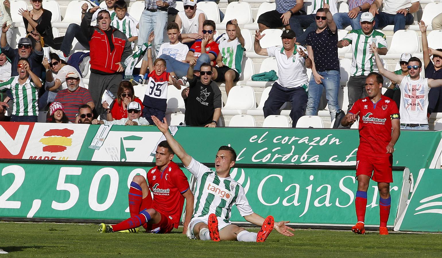 Las mejores imágenes del Córdoba-Numancia