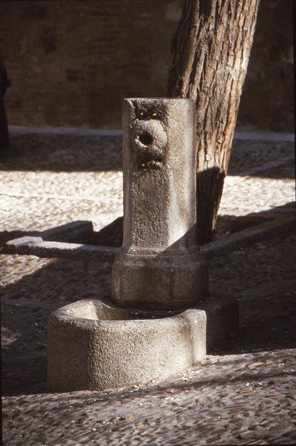 Fuente de la plaza de Santa Eulalia. 