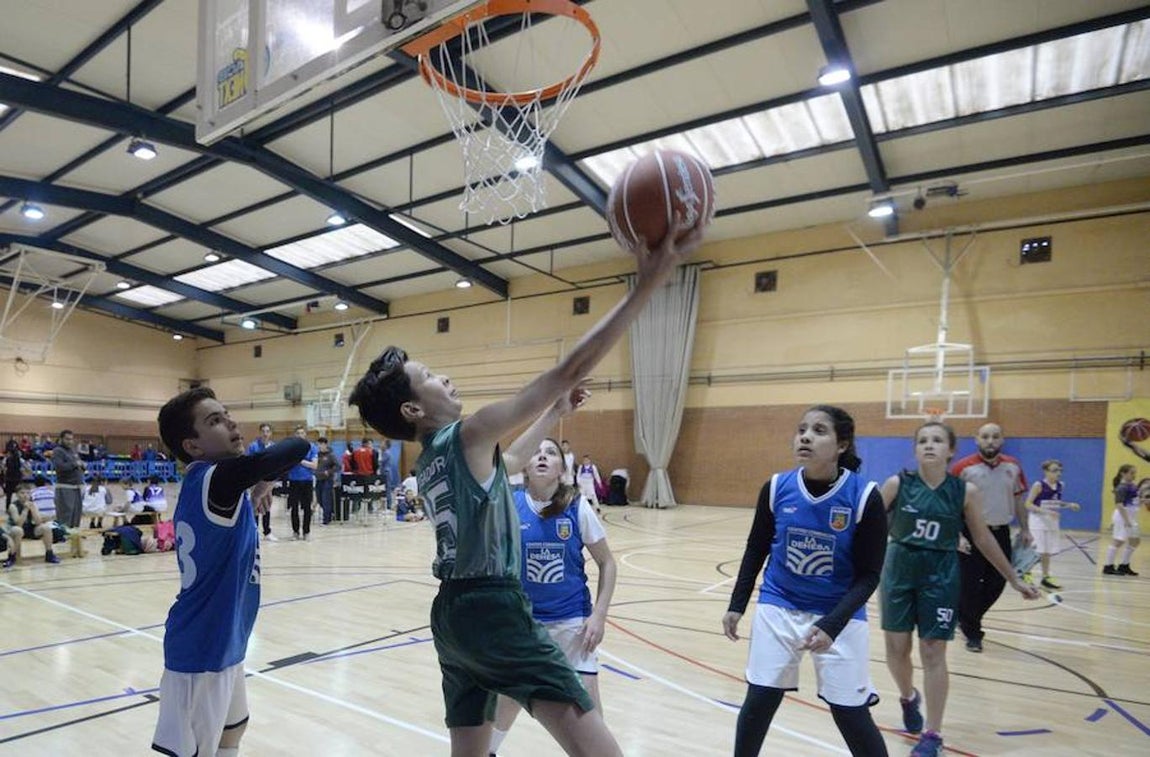 Las mejores imágenes de la primera previa del torneo «ACB Next»