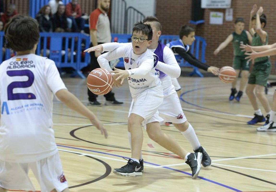 Las mejores imágenes de la primera previa del torneo «ACB Next»