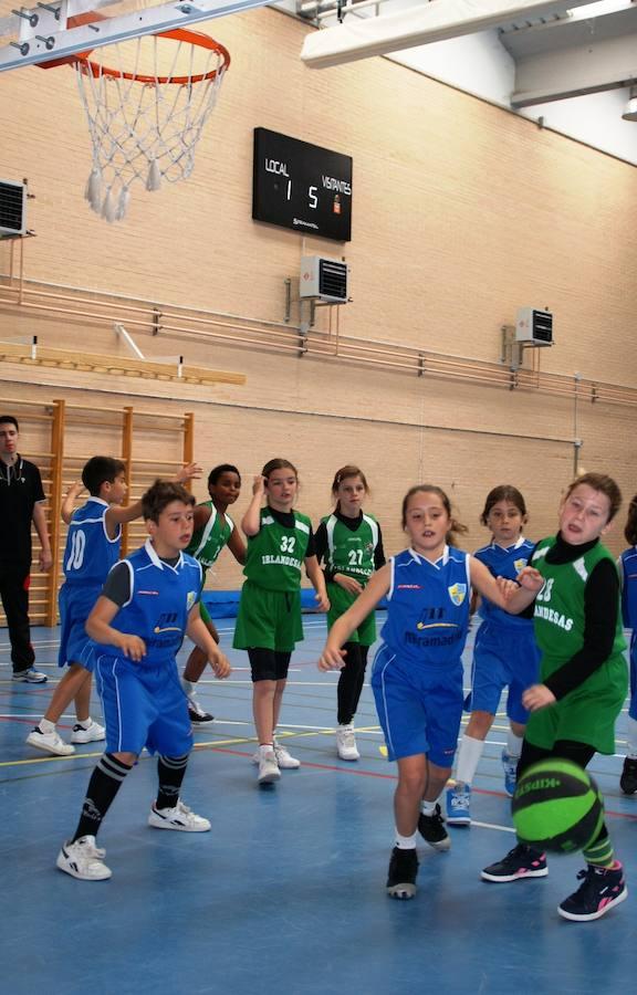 Miramadrid «B» - BVM Irlandesas «C»