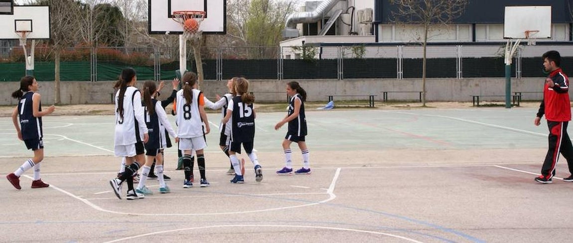 Bernadette - San Patricio