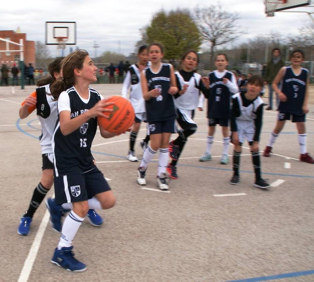 Bernadette - San Patricio