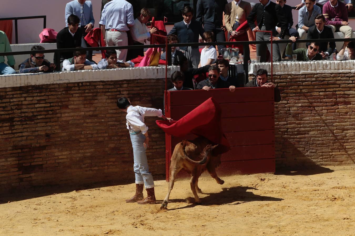 El tentadero, en imágenes