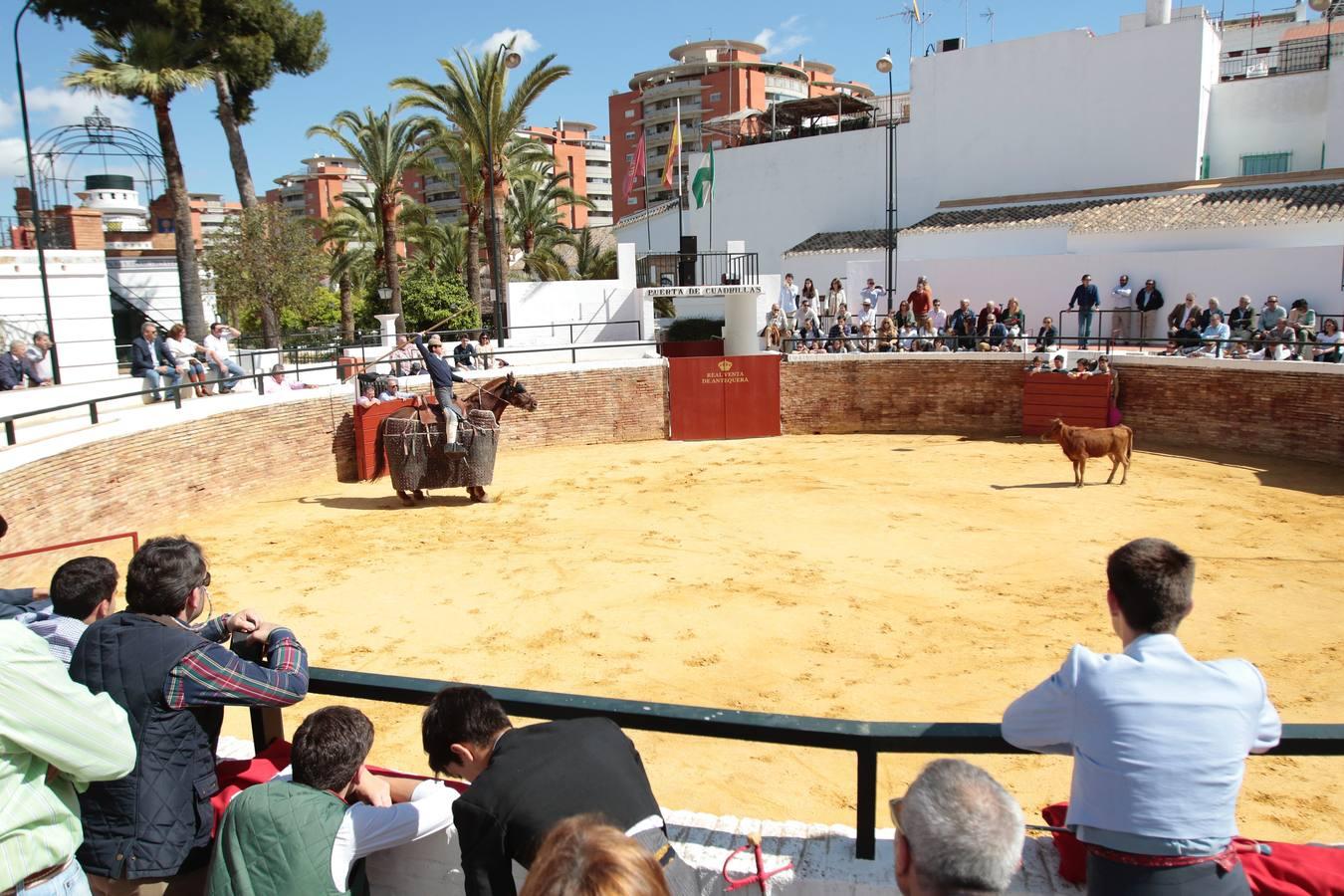 El tentadero, en imágenes