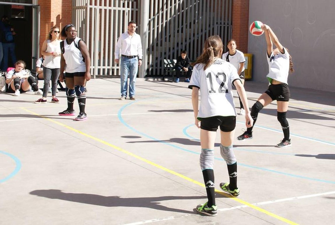 Voleibol infantil femenino: N. S. Carmen voleibol vs. Sagrada Familia Oberón
