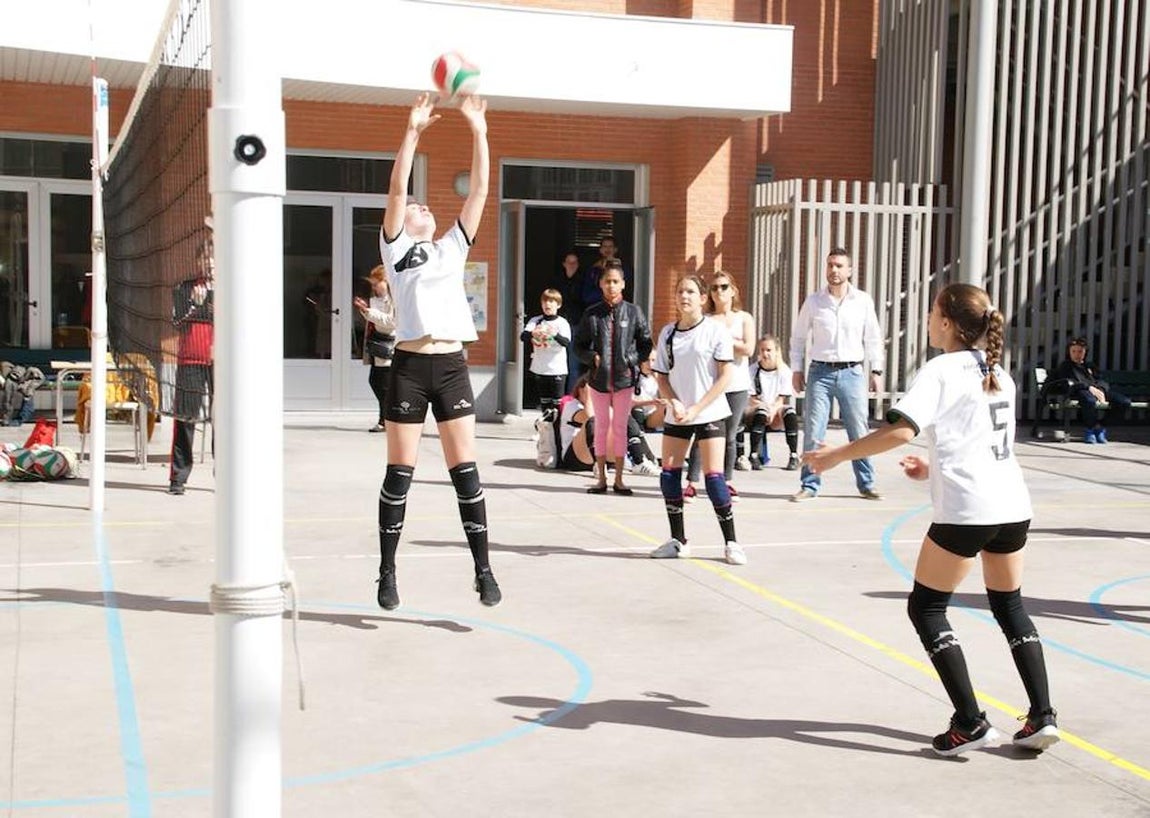 Voleibol infantil femenino: N. S. Carmen voleibol vs. Sagrada Familia Oberón