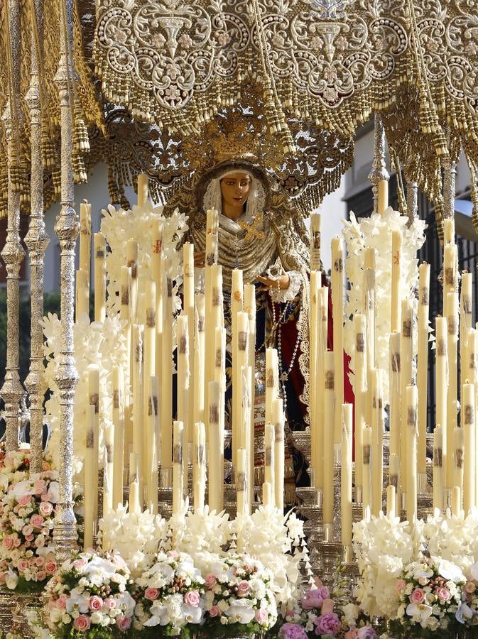 El Amor de Domingo de Ramos, en imágenes