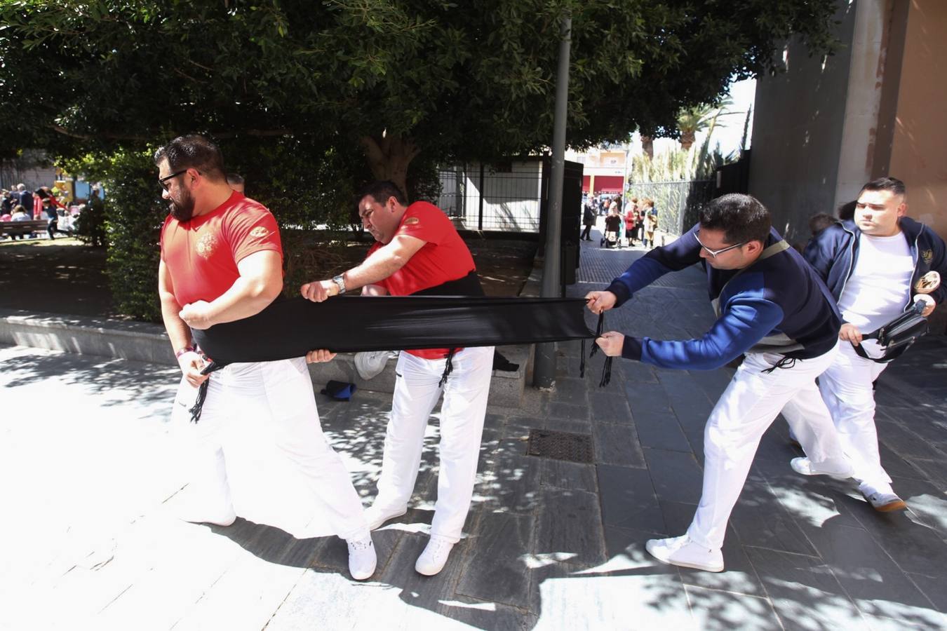 Semana Santa de Cádiz 2017. Cofradía de la Borriquita