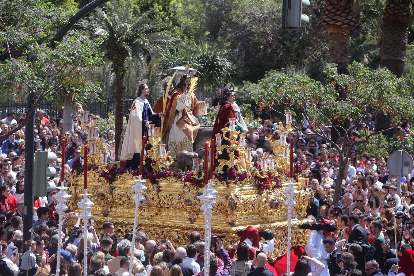 Semana Santa de Cádiz 2017. Cofradía de la Borriquita