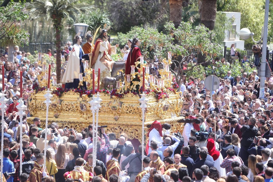 Semana Santa de Cádiz 2017. Cofradía de la Borriquita