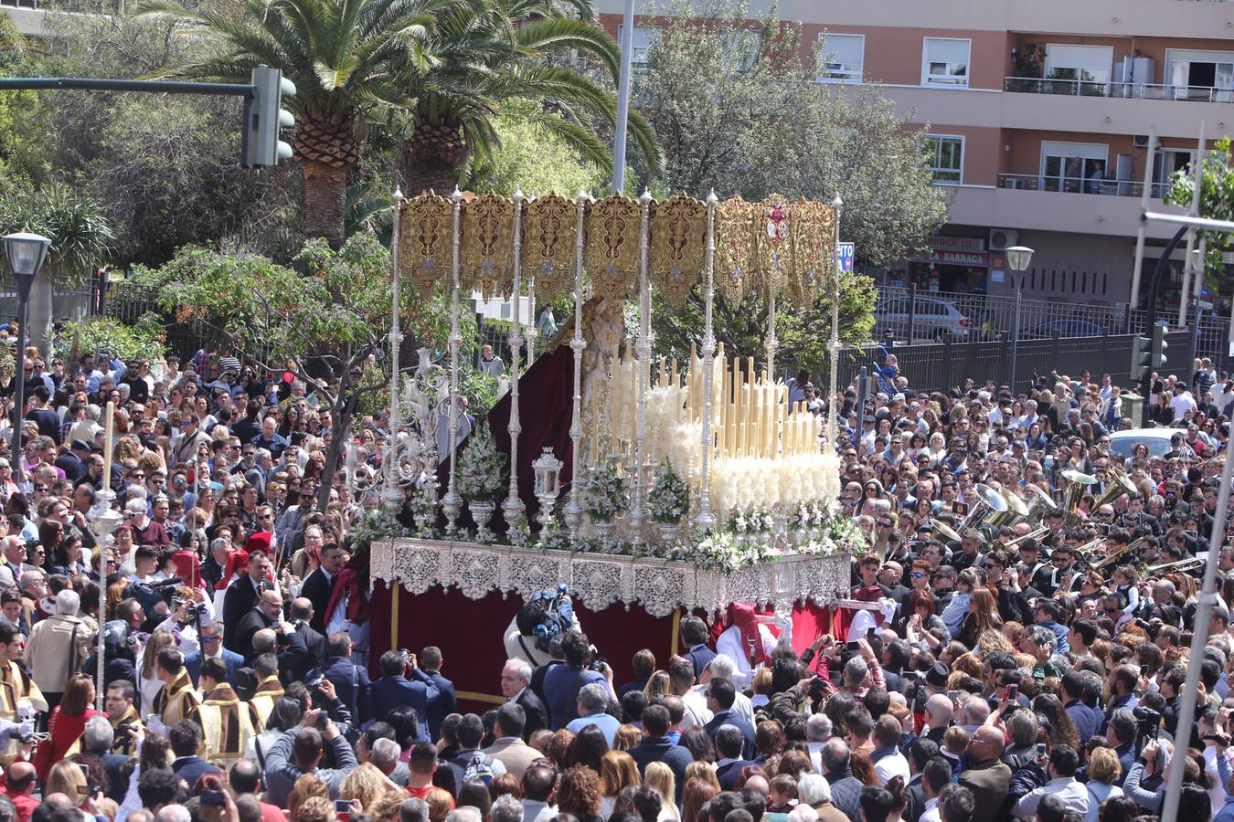 Semana Santa de Cádiz 2017. Cofradía de la Borriquita