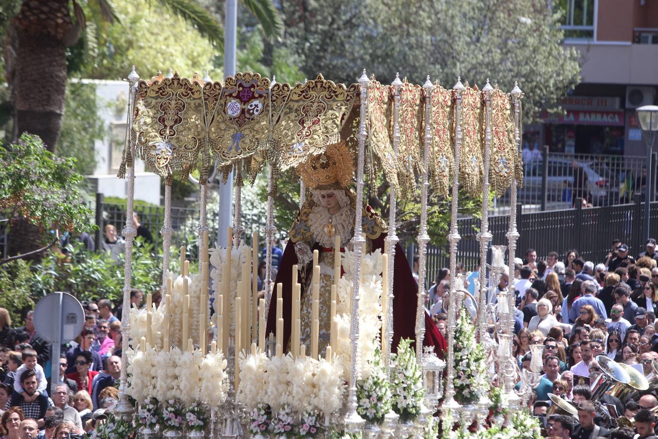 Semana Santa de Cádiz 2017. Cofradía de la Borriquita