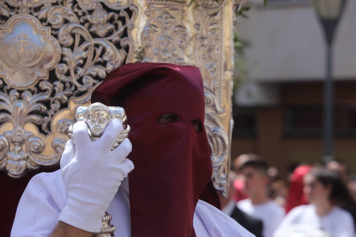 Semana Santa de Cádiz 2017. Cofradía de la Borriquita