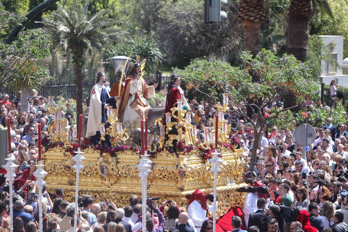 Semana Santa de Cádiz 2017. Cofradía de la Borriquita