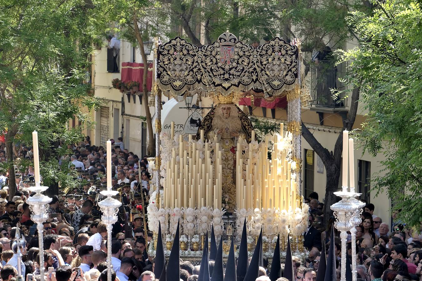 Las fotos de San Bernardo en el Miércoles Santo de la Semana Santa de Sevilla 2017