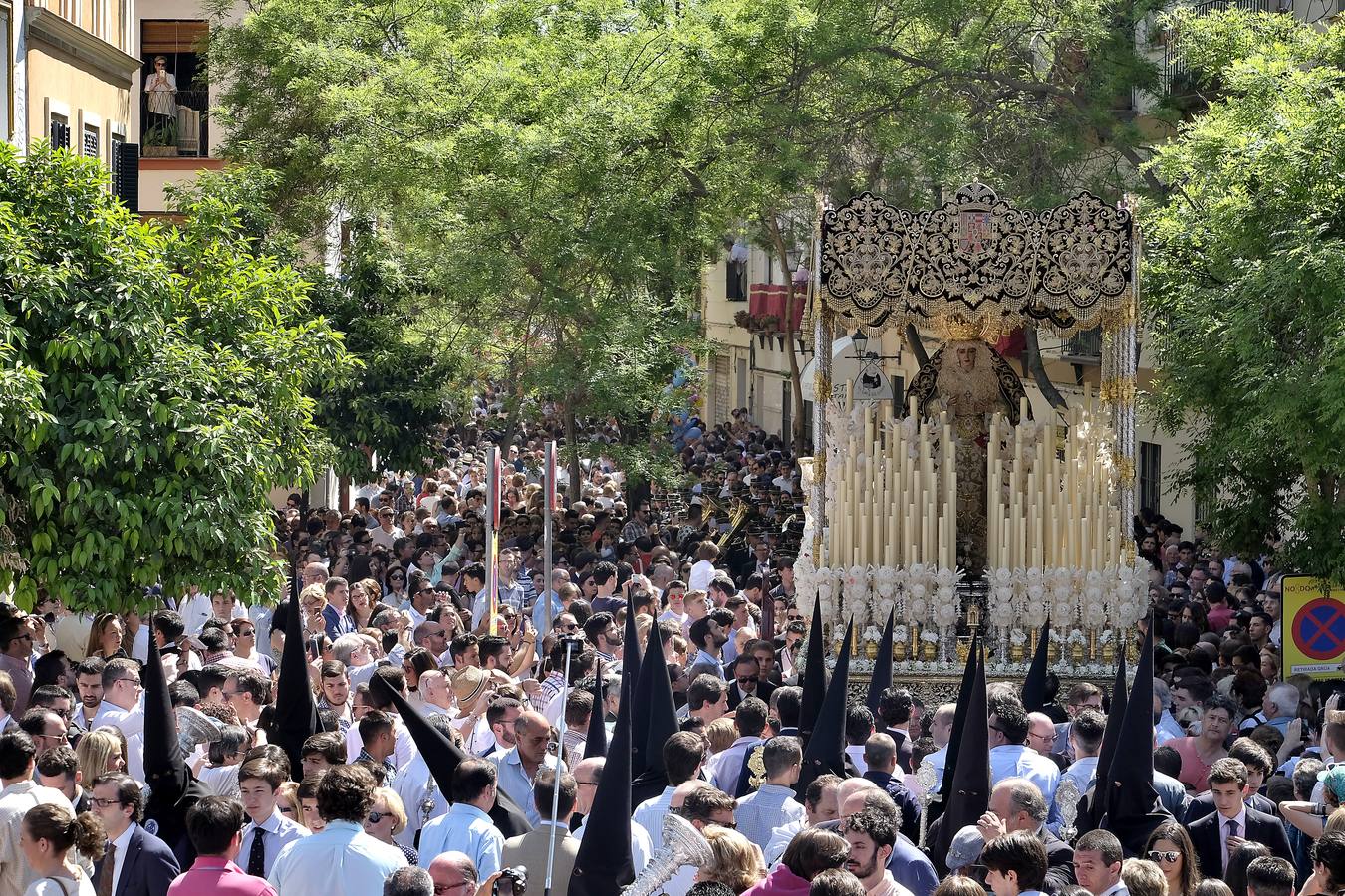 Las fotos de San Bernardo en el Miércoles Santo de la Semana Santa de Sevilla 2017