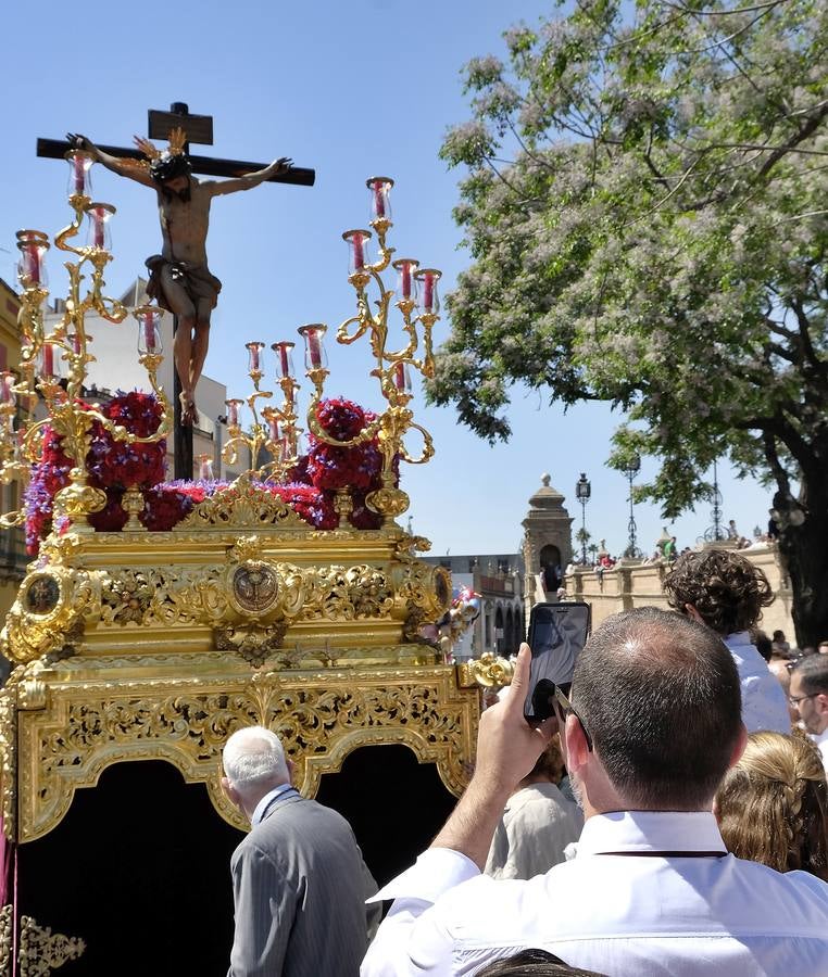 Las fotos de San Bernardo en el Miércoles Santo de la Semana Santa de Sevilla 2017