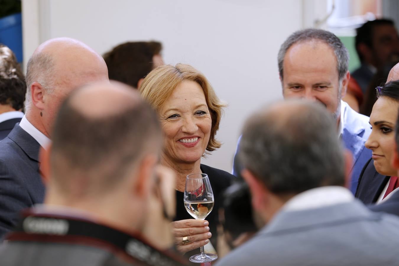 La gran fiesta del Vino cordobés, en imágenes