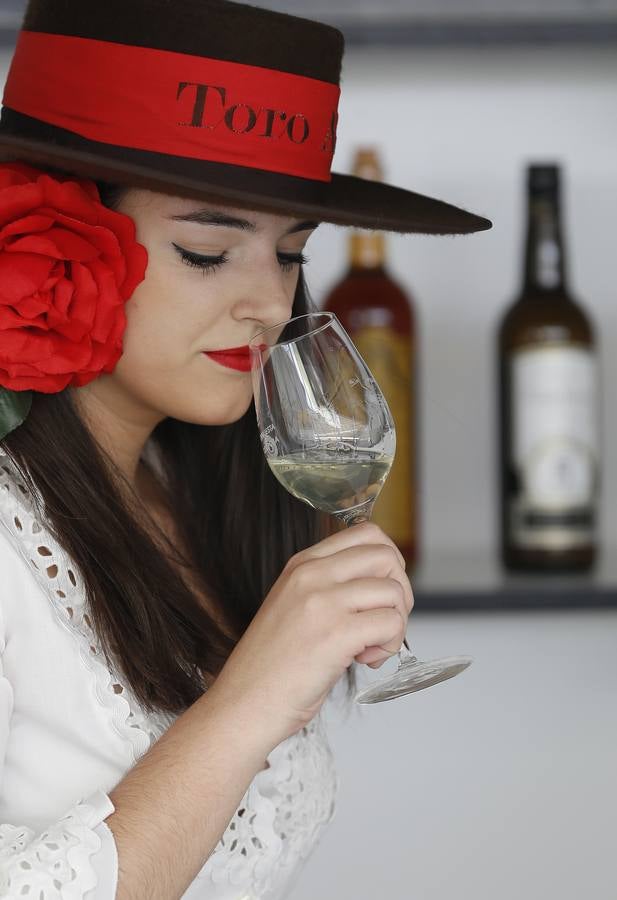 La gran fiesta del Vino cordobés, en imágenes