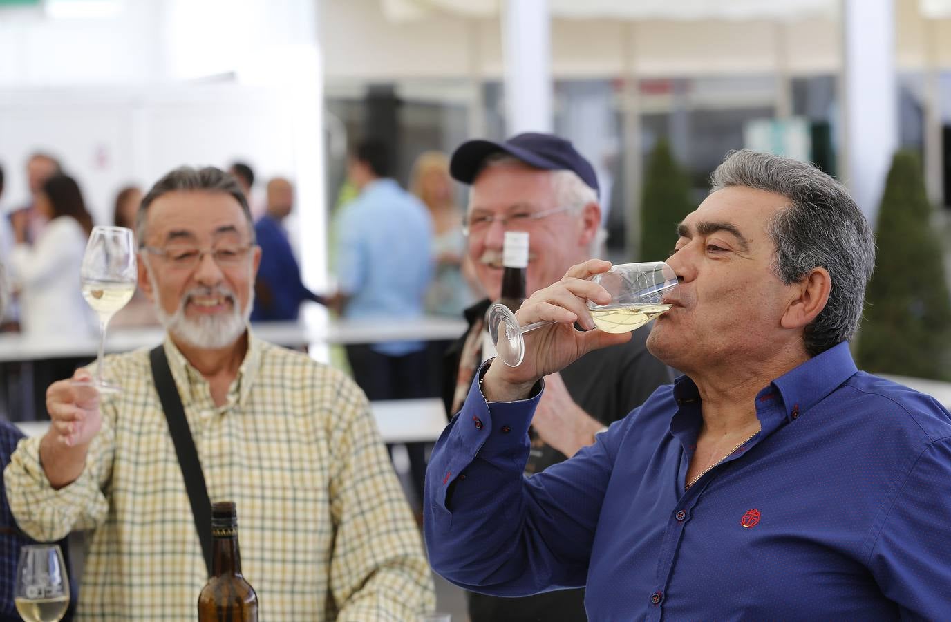 La gran fiesta del Vino cordobés, en imágenes