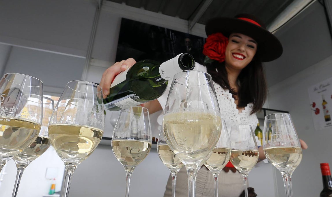 La gran fiesta del Vino cordobés, en imágenes