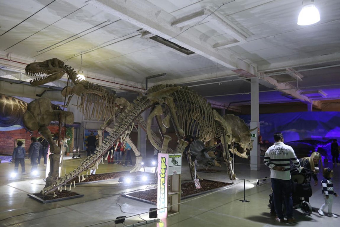 Fotos: Así es Expo Jurásico, la mayor muestra de dinosaurios animatrónicos