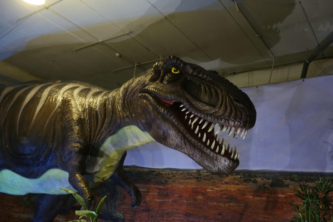 Fotos: Así es Expo Jurásico, la mayor muestra de dinosaurios animatrónicos