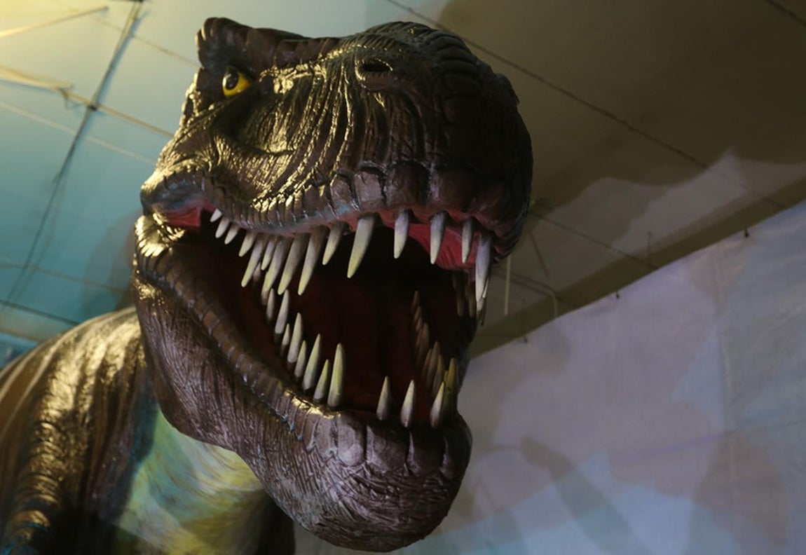 Fotos: Así es Expo Jurásico, la mayor muestra de dinosaurios animatrónicos